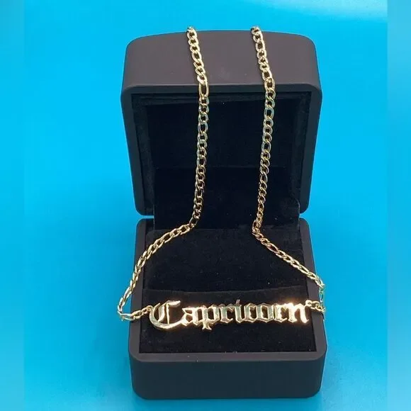 ⭐️🌙Capricorn Zodiac Nameplate on 14k Gold plated Figaro Chain⭐️🌙